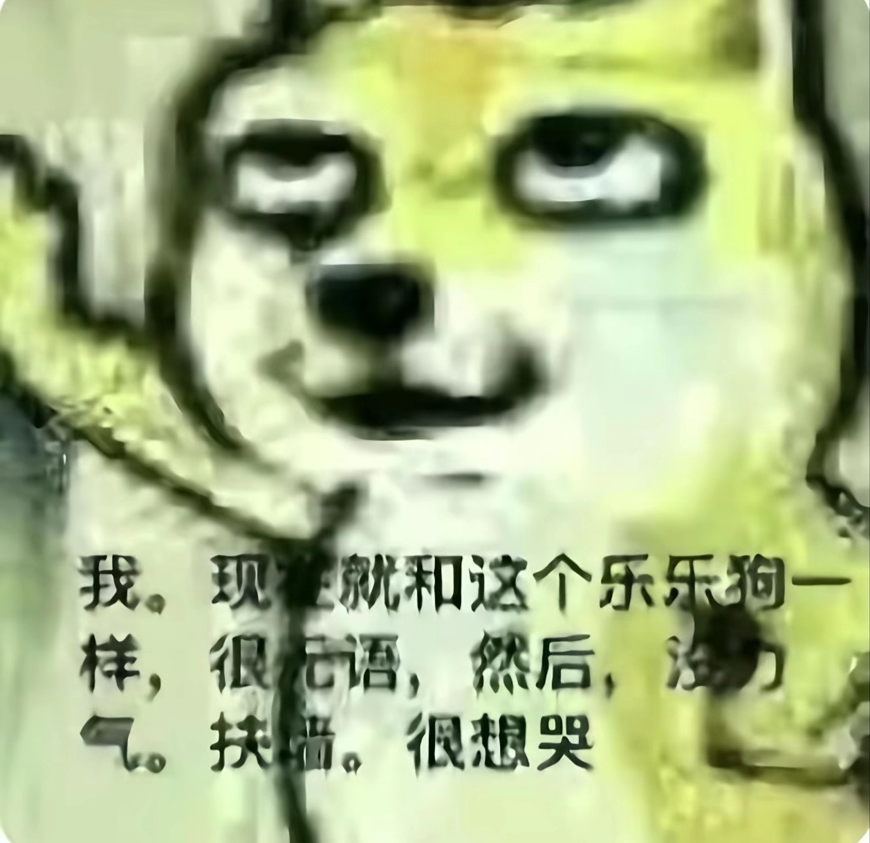 我。现在就和这个乐乐狗一样，很无语，然后，没力气，扶墙。很想哭​​​