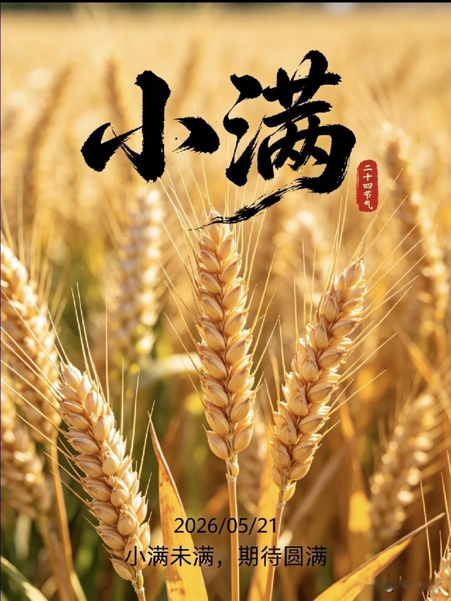 明日小满，中老年谨记1不洗2不坐3不吹4不吃，安稳入夏“夜莺啼绿柳，皓月醒