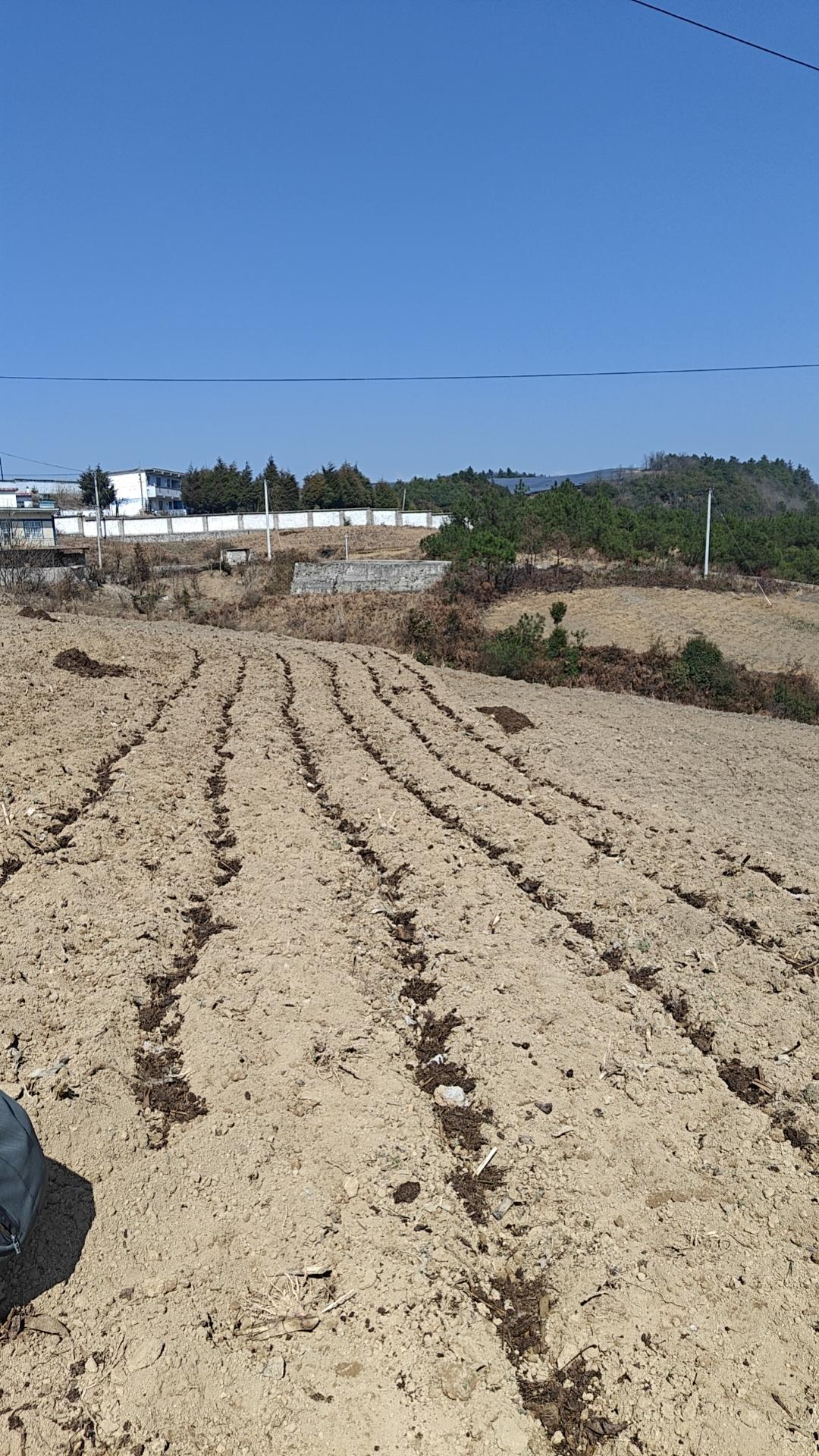 现在的农村处于嫌你穷，怕你富的心态你但凡在农村待上一段时间，就会发现除了至亲