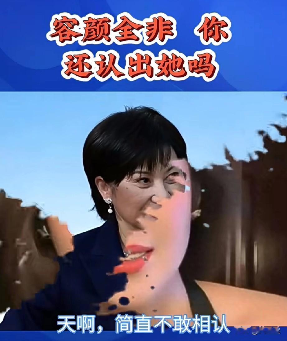 天呐，简直不敢相信朝思暮想的女神怎会变成如此模样，容颜全非，五官好似错位，神态