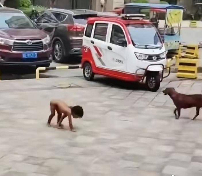 “养”是喂大孩子，“育”是教他成人成才。真正的自然养育，是尊重天性、引导孩子，培