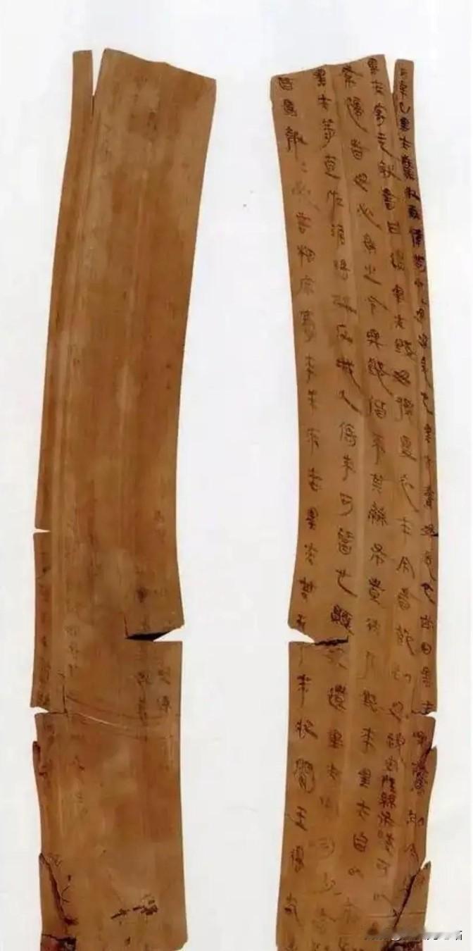公元前223年，秦将王翦破楚都寿春，楚亡。当黑夫的木牍在云梦睡虎地4号墓出土，在