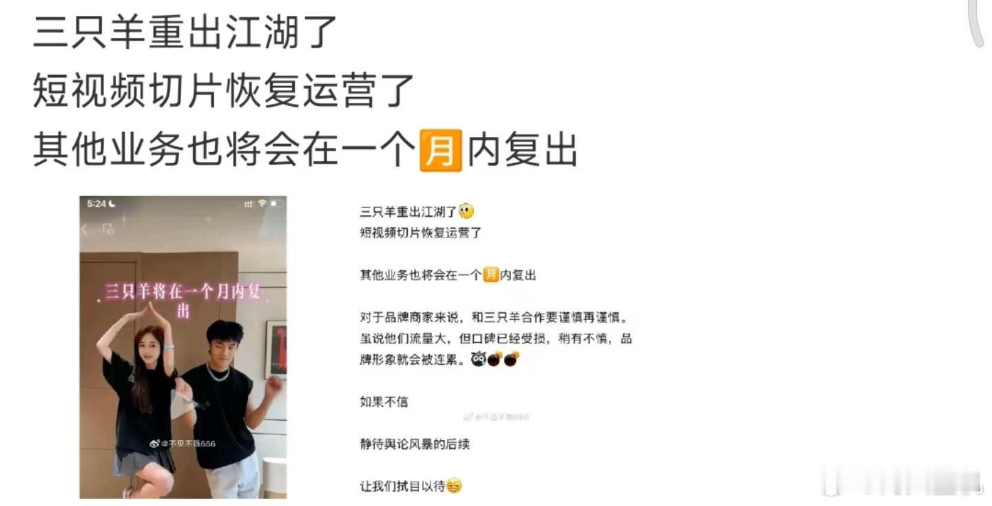 三只羊复出，据说三只羊在TikTok上的搞得挺猛，不知道是不是真的。不过这距