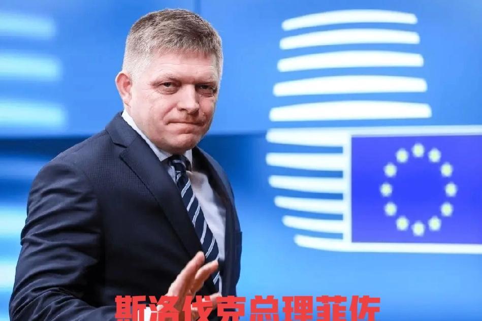 又是欧盟成员国，又是北约成员国，唯一一位来参加阅兵的欧洲国家领导人菲佐值得敬佩，