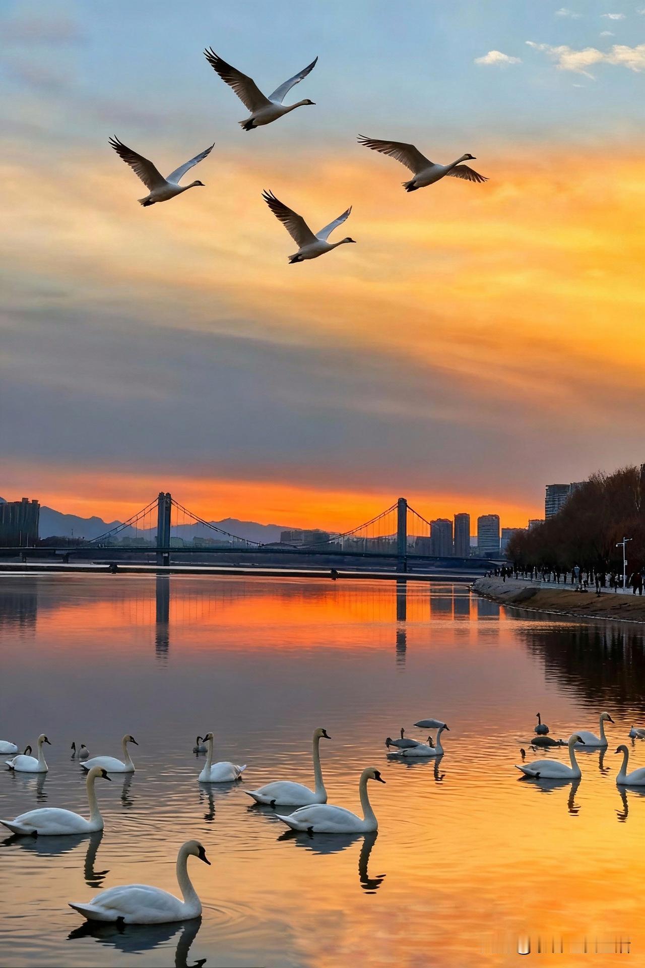 刚刚是不是发生地磁暴了，时间在我7.53分左右，时长足有1分钟。开始感觉就是嗡嗡