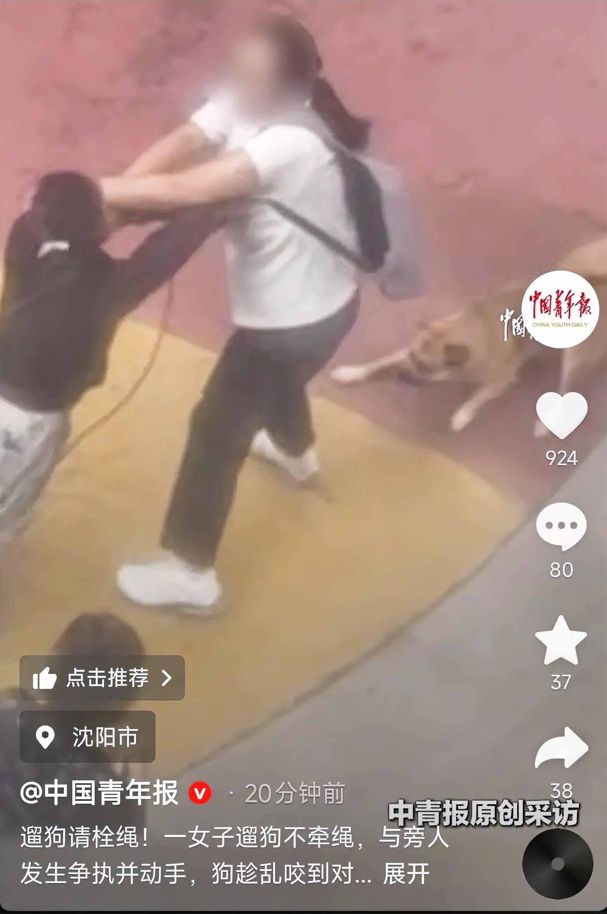辽宁沈阳，一女子小区遛狗不牵绳，狗把路人吓到后不但不道歉，还动手打人，结果狗“护