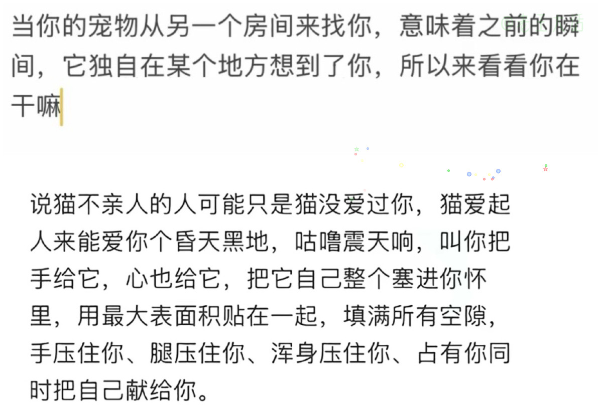 小猫的爱藏在每一次回头、每一次等待里，温柔又坚定。