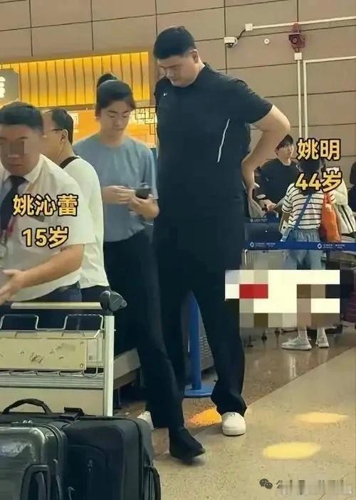 姚明父女同框年仅十五岁，身高就达到一米九，这着实是令人咋舌的身高数据。站在姚明身