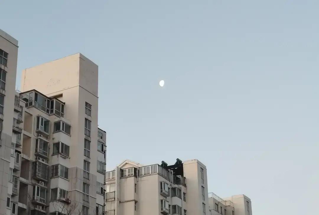 今早去早市买五花肉芸豆土豆，路灯还挂着红灯笼。回家切好炖上，就等中午给岳父母