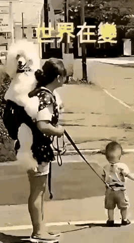 当今世道很奇怪，宠狗背在身，娃儿手牵带。