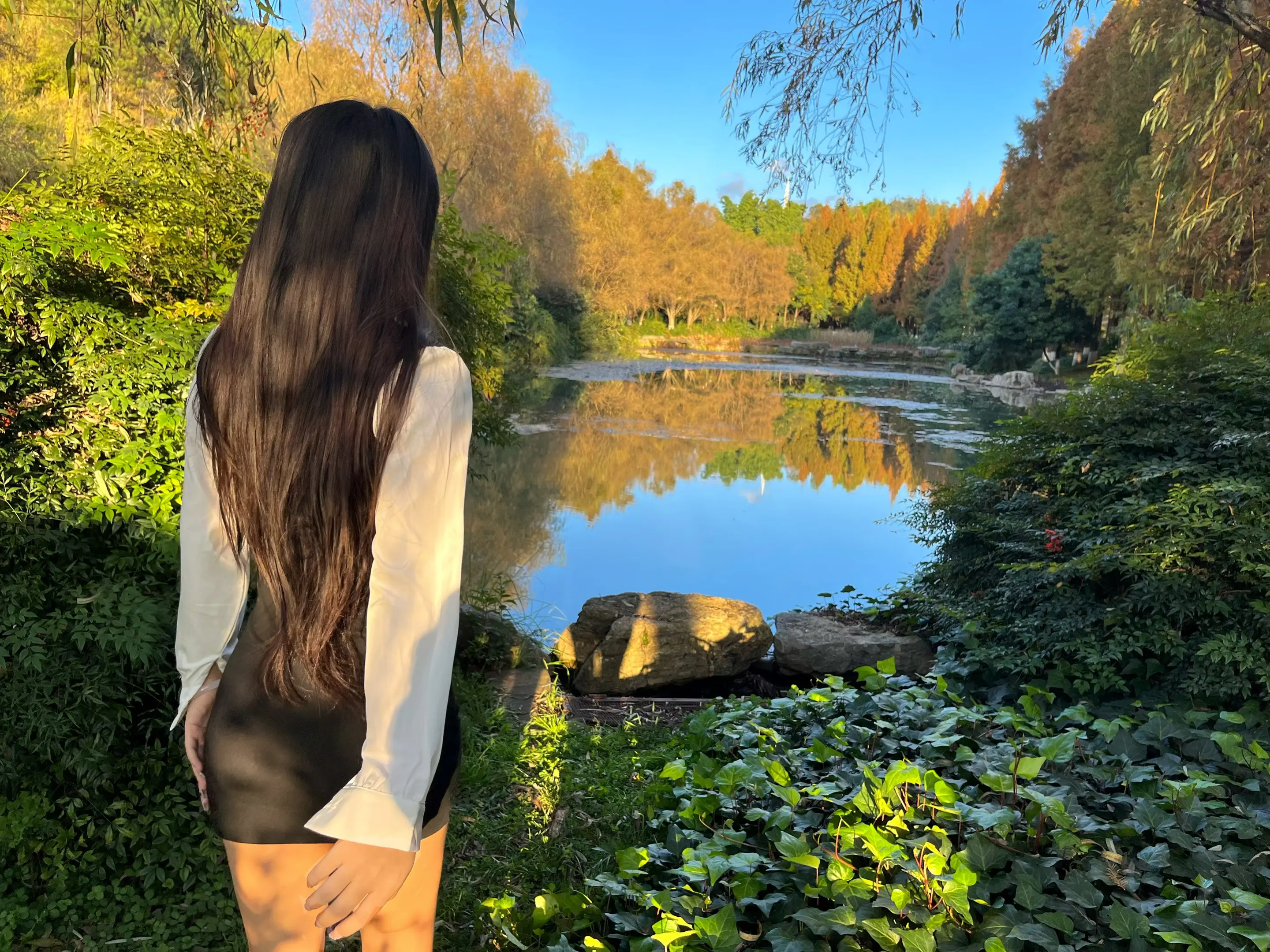 拿不下你 心好痛