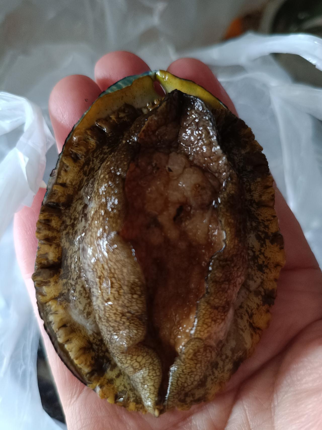 今天儿子找了一家饭店，让我们与亲家两家人一起坐坐，天太热去谁家都太麻烦。
