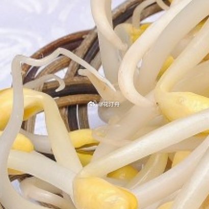 豆芽种植方法豆芽是绿豆或黄豆经过一系列生长发出的嫩芽。选种准备：在种植豆芽前，先