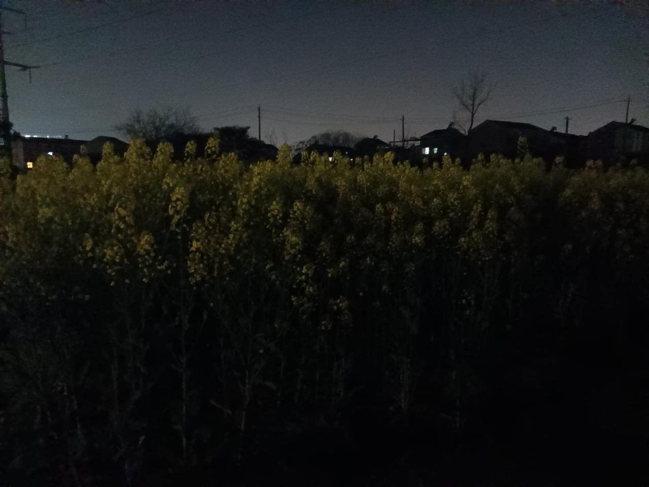 很多人想装点阳台，却总担心养花太难。其实选对品种，不用费心打理，也能四季有花、满