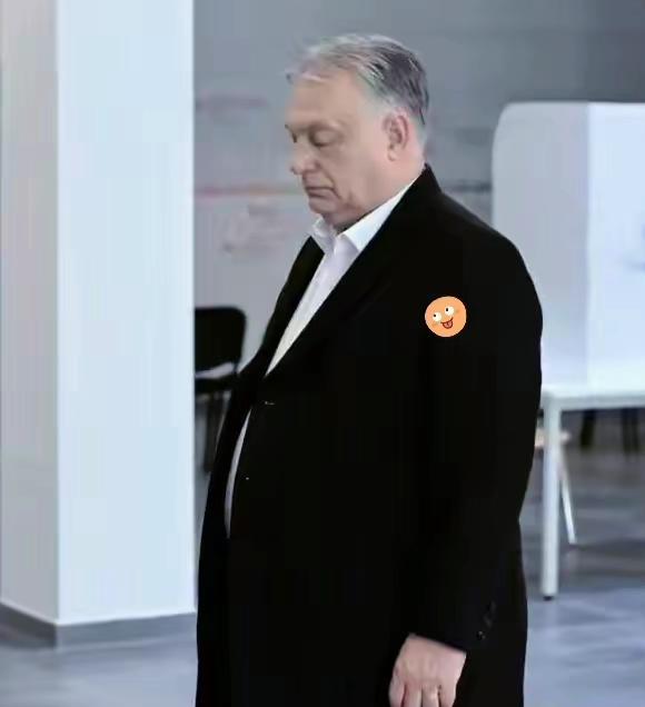 大国救不了欧尔班，美俄皆尴尬。欧尔班败了，被匈牙利人民抛弃，证明了他的亲俄、