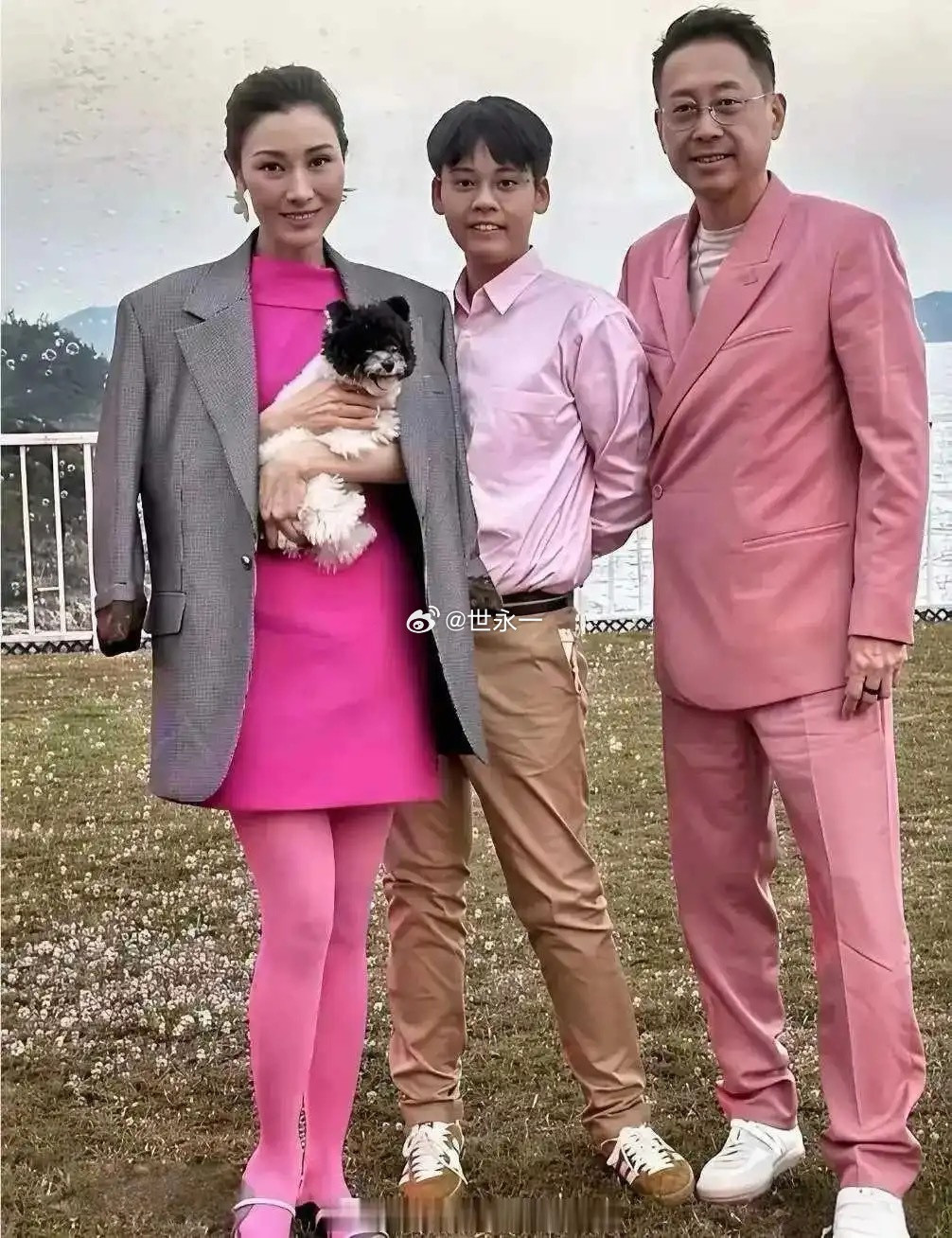 李嘉欣用大半辈子精心维护的“美貌神话”，似乎在她儿子身上悄然碎了满地。年轻时，她