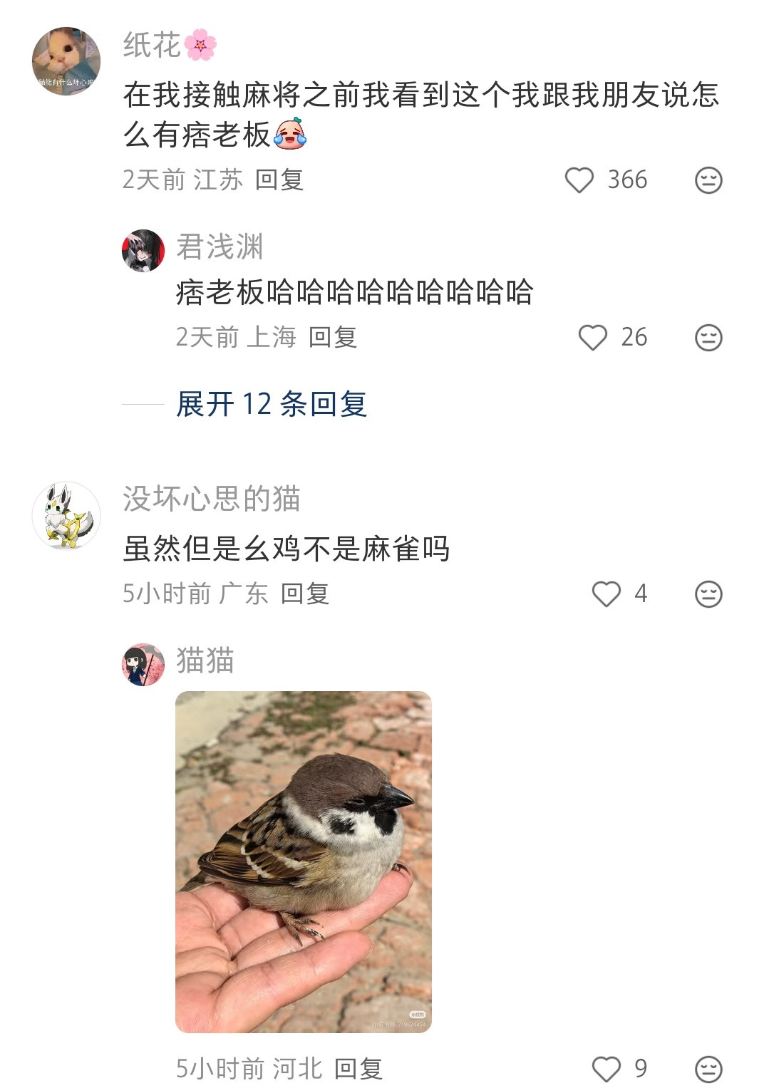 前面我都被说服了，这个幺鸡的红点是鹦鹉🦜的腮红，结果后面又说幺鸡其实是麻雀