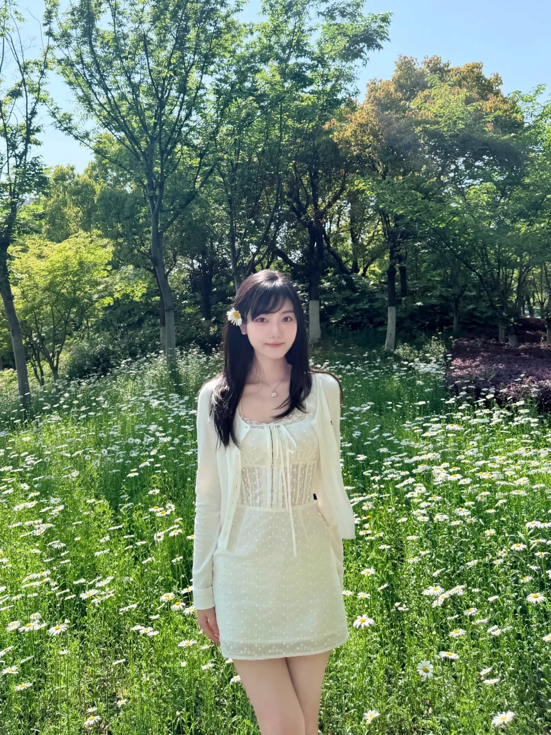 路边的小雏菊🌼☁️