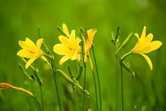 哇塞！这周有三大星座简直要爽翻，就像天上直接掉馅饼，妥妥躺赢人生啊！首先是射手
