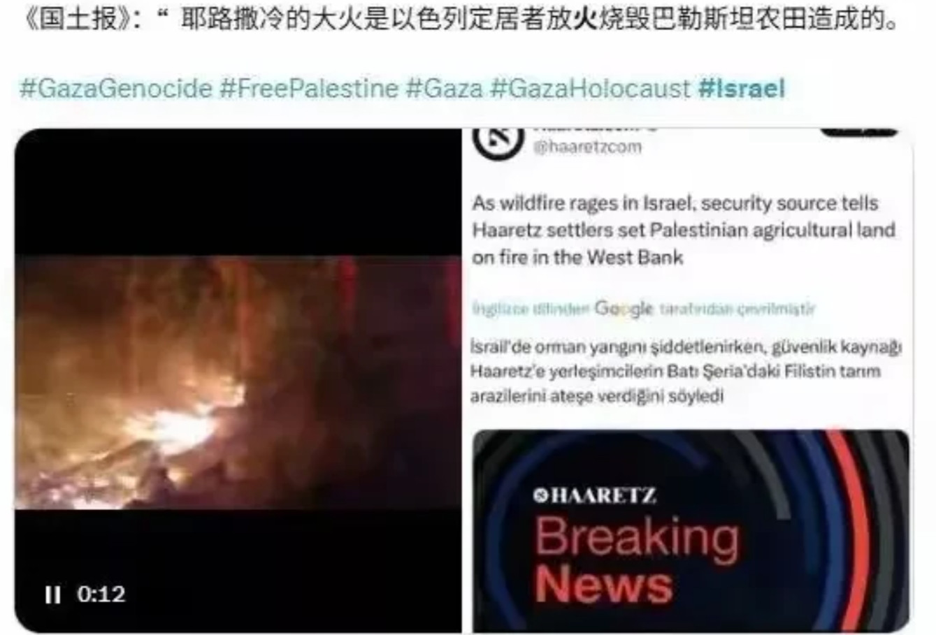 实锤了，以色列贼喊做贼！山火真相调查出来了，还是广大网友猜得准，就是玩火自焚。