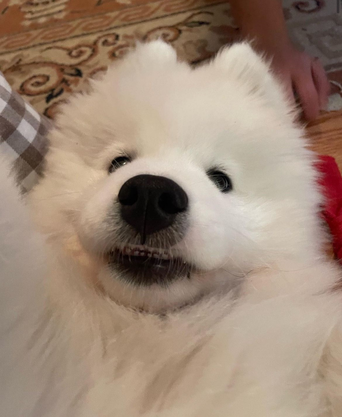 无聊，发个自拍耶​​​