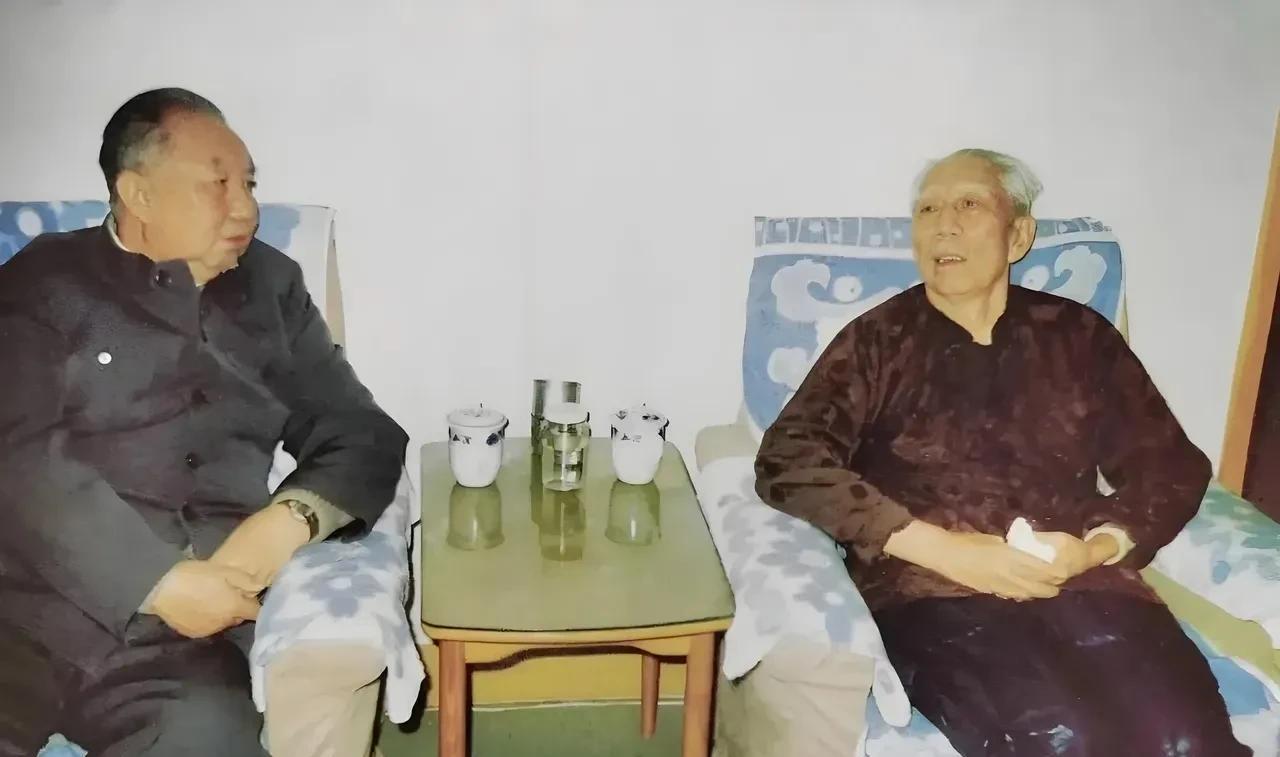 这是1989年，华国锋同志看望王震上将的照片。两人身上的衣着都十分简朴，始终保