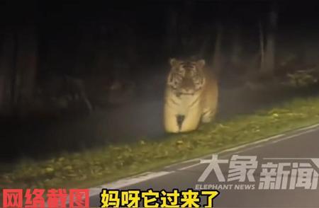 吉林延边，10月21日报道一男子晚上开出租车，接了一个女乘客，男子正开着车，突然