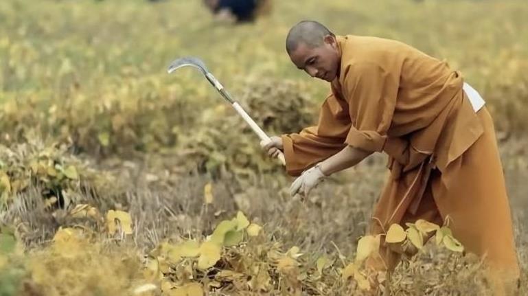 少林寺的新任方丈，这是在变相裁员啊[捂脸哭]打坐，念经，素食，练武没收手机，