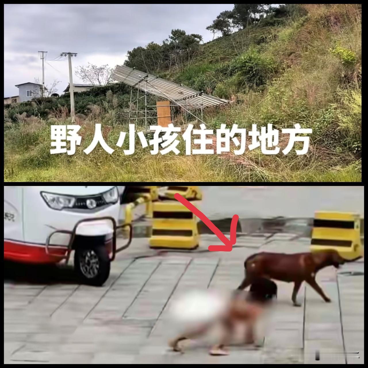 野人小孩后续来了，父母将给孩子落户北京户口，孩子母亲是北京人怎么跑到相距1000
