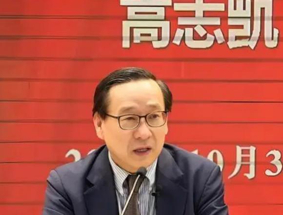 高志凯只是建议停止向日本出口稀土，就有网友跳出来认为应该严格审查高志凯家里是否使