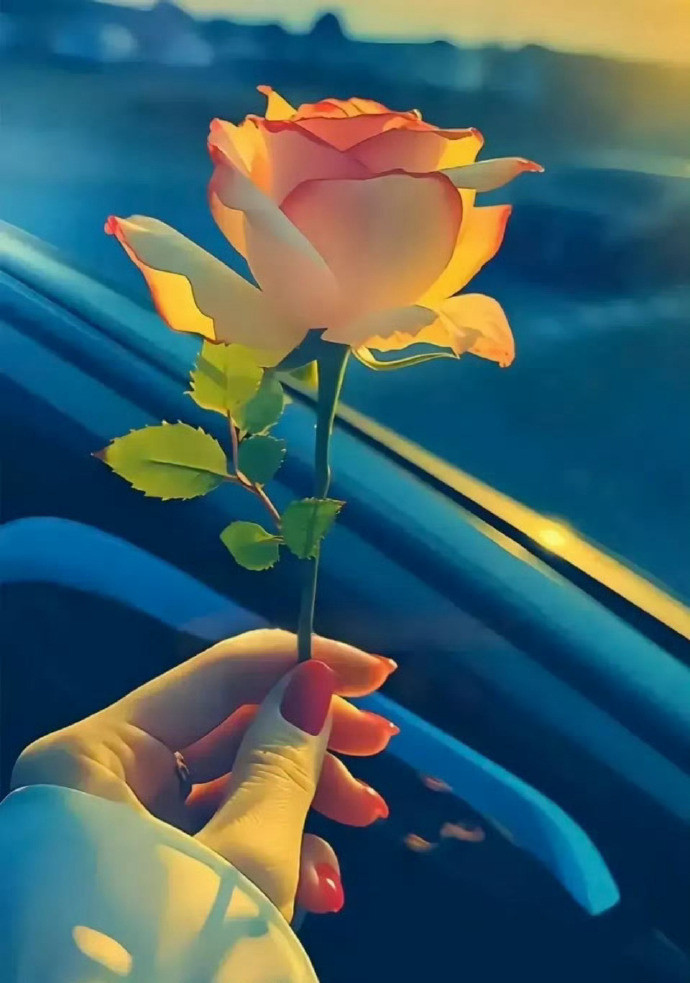 “人生哪能多如意，万事只求半称心”