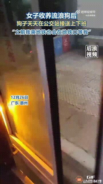 广东惠州一名女子好心投喂过一只流浪小狗后，小狗每天都来找她玩，慢慢地她也喜欢上了