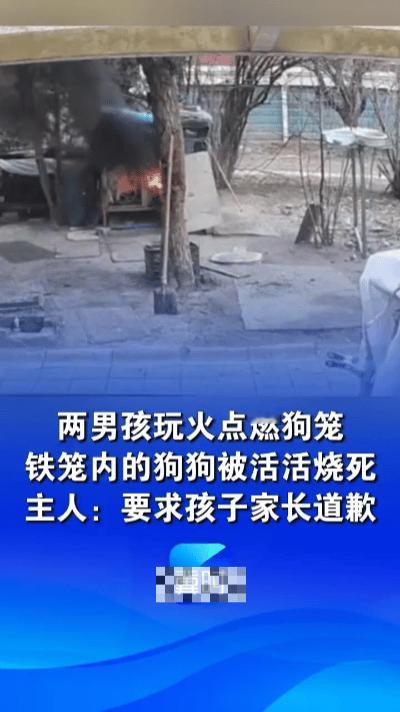 灰烬里的项圈……小区绿化带的灰烬还带着焦味，萨摩耶的项圈半埋在炭渣里，铃铛