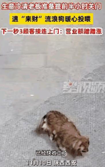 科学也解释不清了！近日陕西西安，一老板看没有生意，就打算提前关门，关门时发现门口