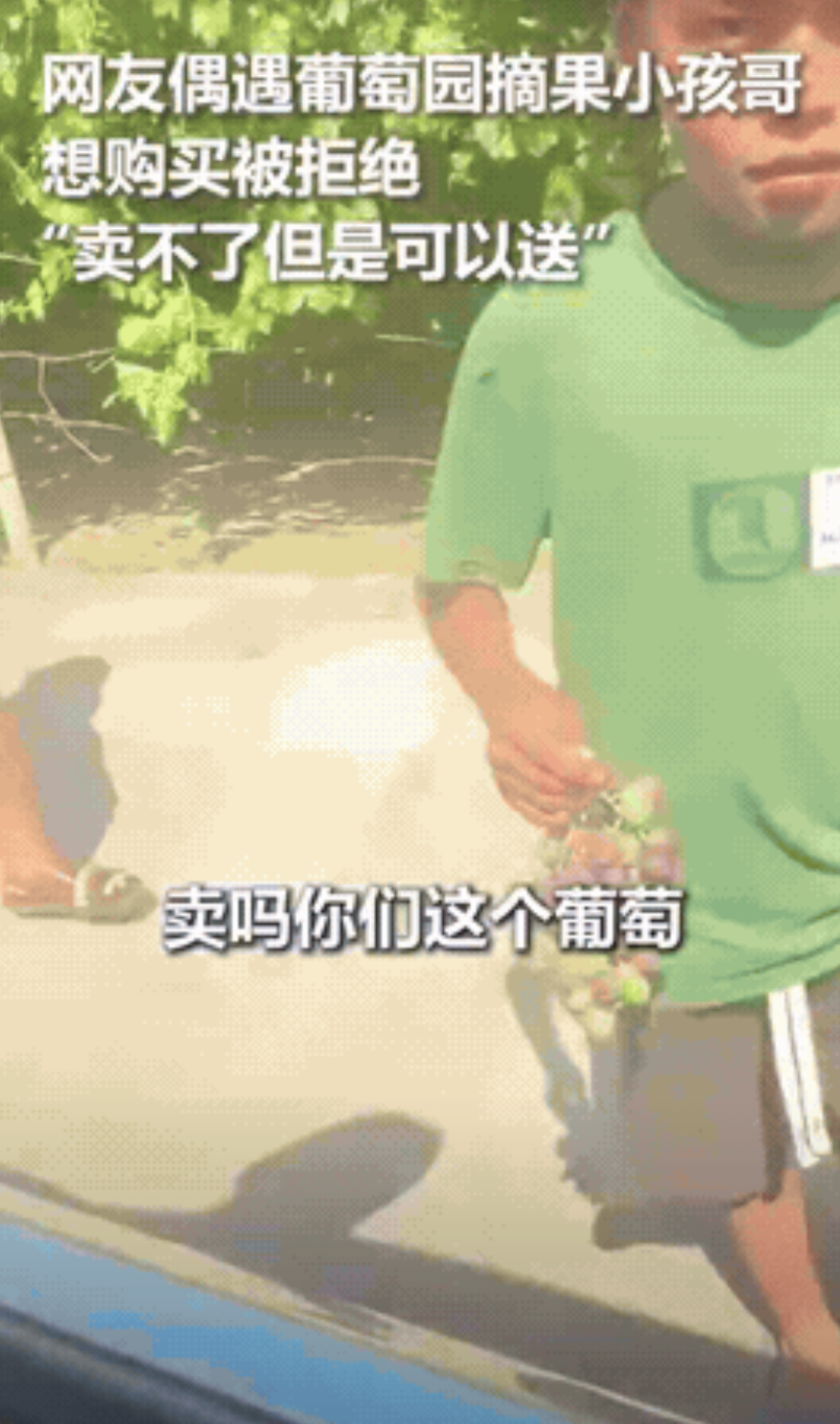太热情了！外地女子自驾游路过新疆一片葡萄园，看到三个小孩正在摘葡萄，女子想买来吃