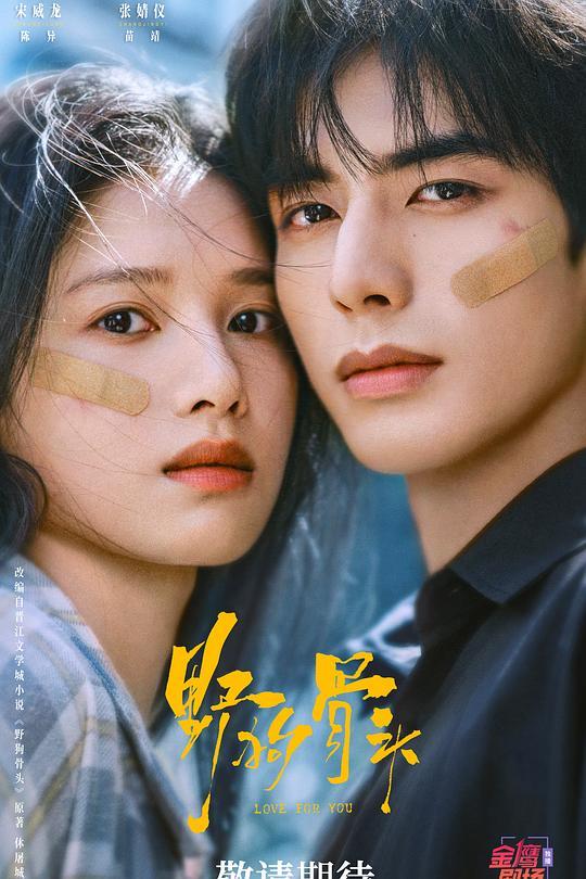 芒果TV八部待播剧出炉，有你想看的吗？1、《良陈美锦》陈都灵、张凌赫预计2026年底2、《野狗骨头》