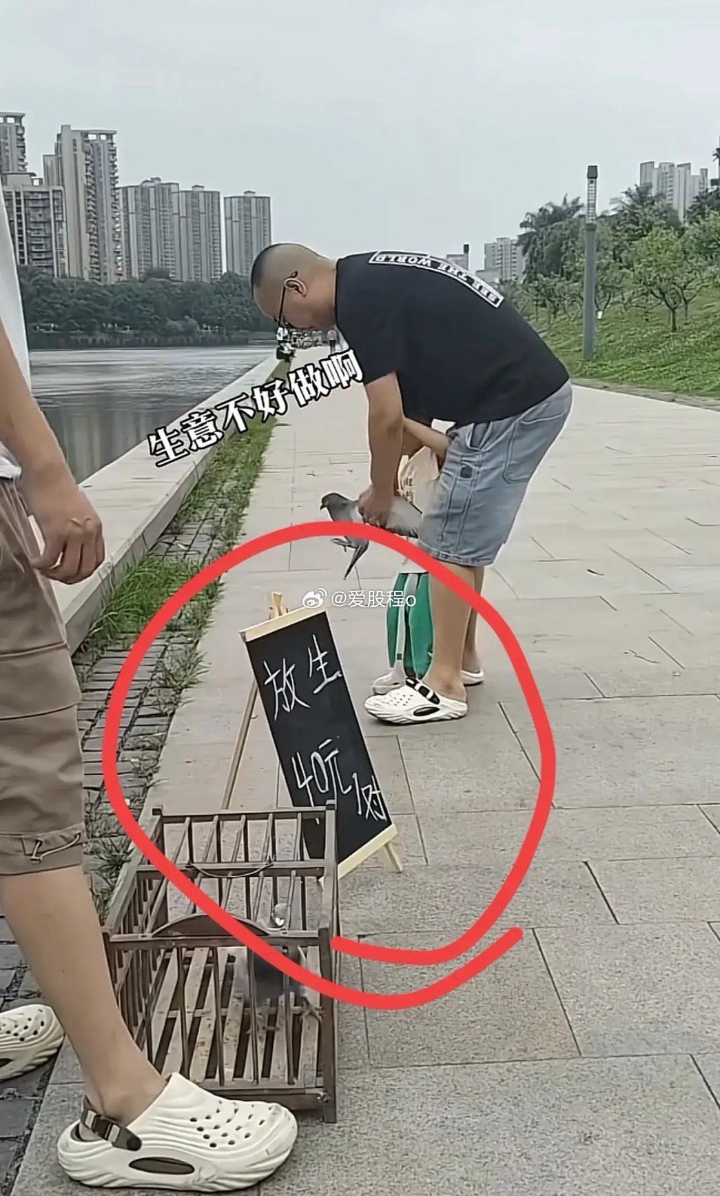 这个生意好啊！放完一会儿自己又回来，接着又放。