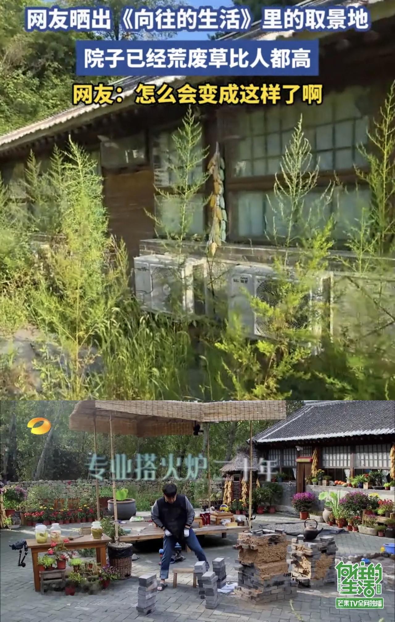 十年了，《向往》第一季密云蘑菇屋已长满荒草。网友打卡《向往的生活》第一季在北京