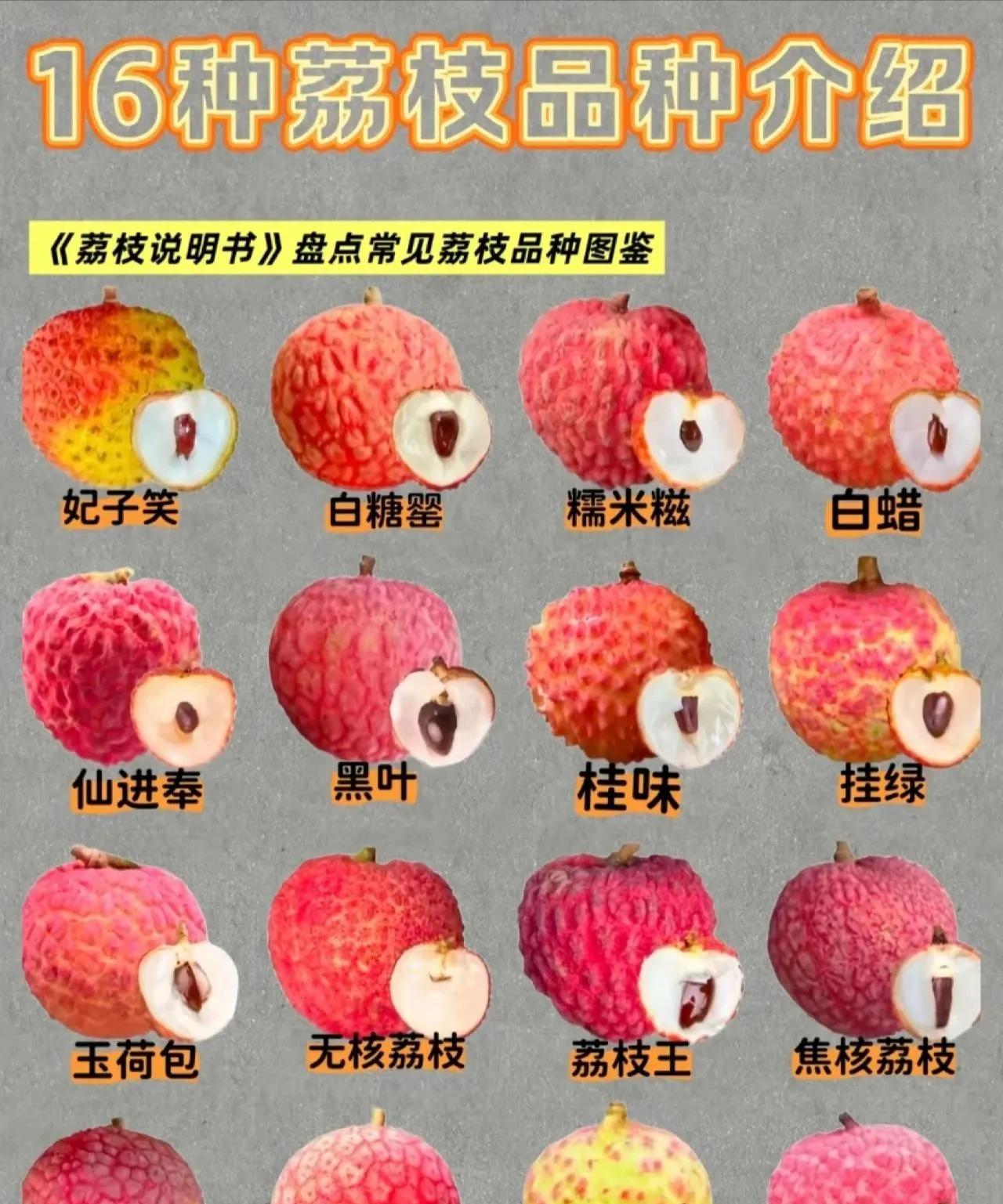 又到一年吃荔枝的时候，一图教你分辨16种荔枝。