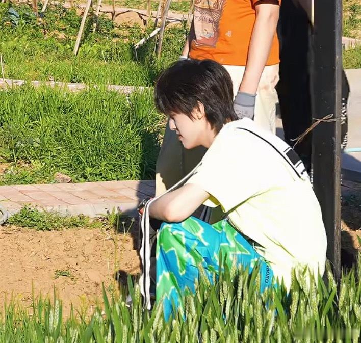 我宝宝虽然不拔，但他真爱陪陪蹲中