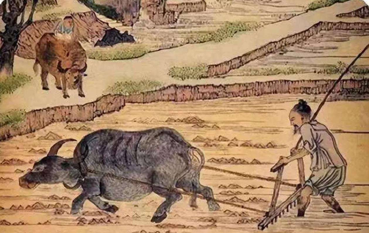 “我国古代没有牛，牛是建国后从美国引进的，它的原型是美国野牛”，这个说法一出，立