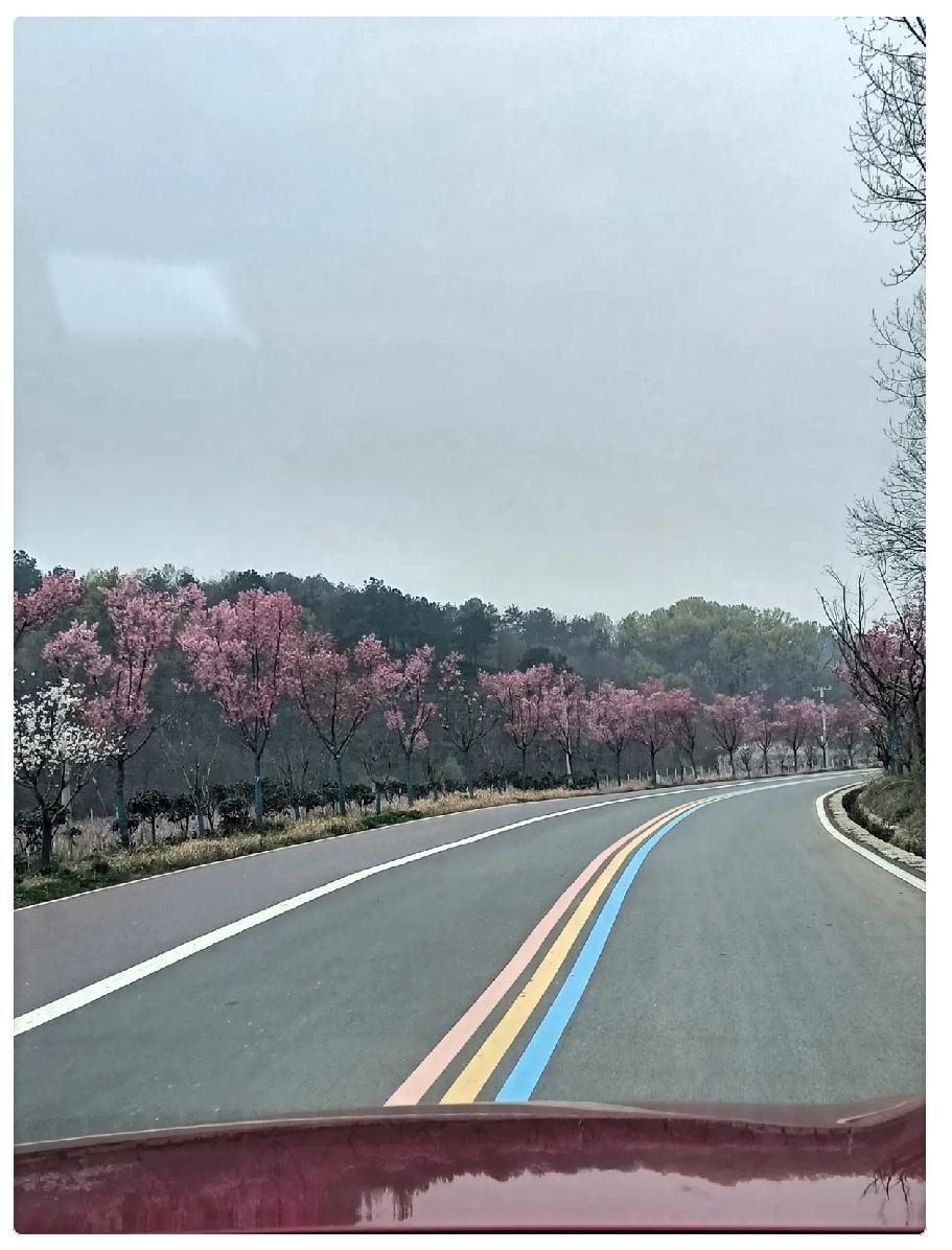 今天一个朋友给我打电话，找我借五万块钱应急，说是一个月就还我。我当即灵机一动