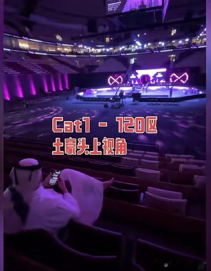 无声的喝彩照进现实。这实现得也太快了。土豪坐在上帝的视角，也看不清小白球。