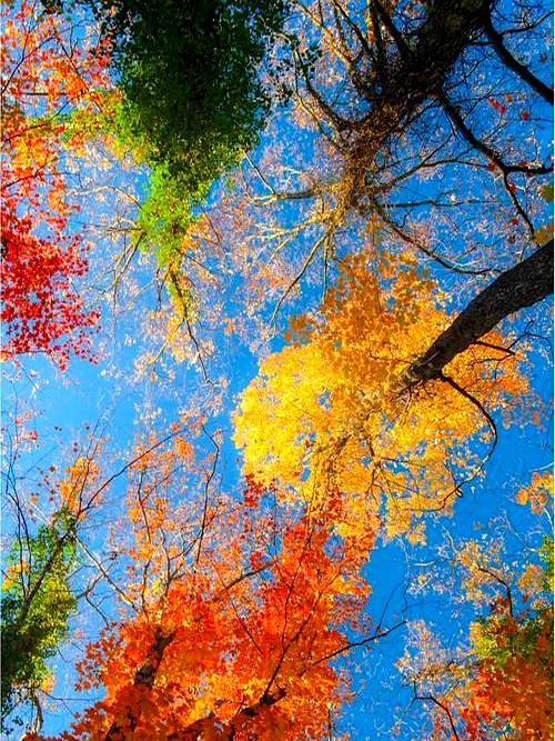 越练越感受到，老师安排几个功法的精妙。北医三院的那个博士大夫总把调理过的