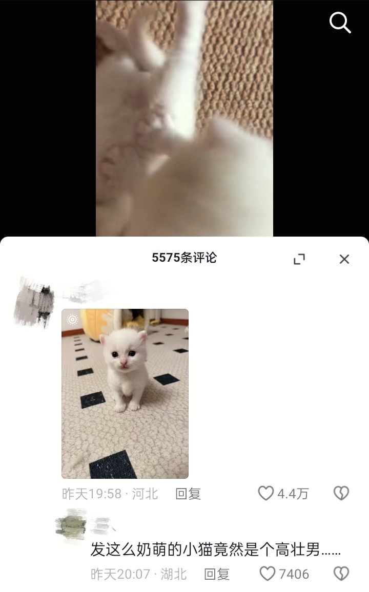 有什么关联吗？