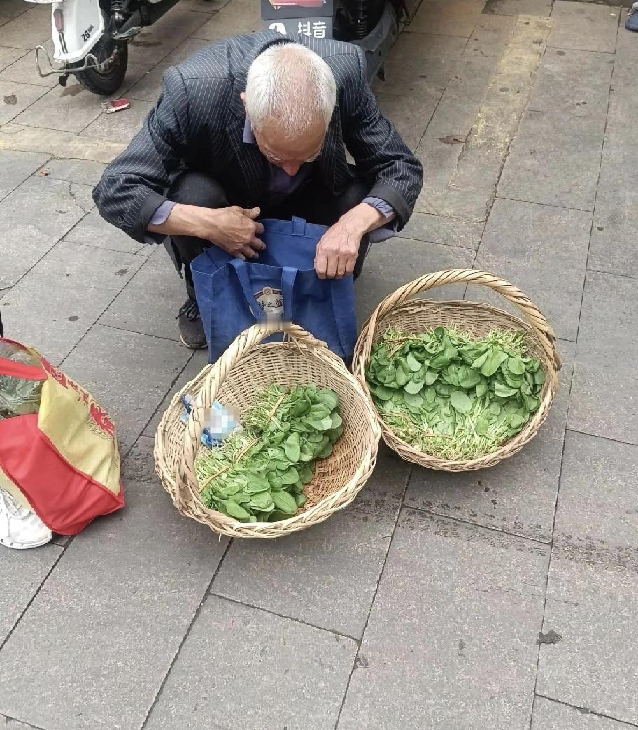今天逛到菜市场的时候，正好瞅见一位头发都白了大半的老奶奶在摆摊，卖的是自家种的小