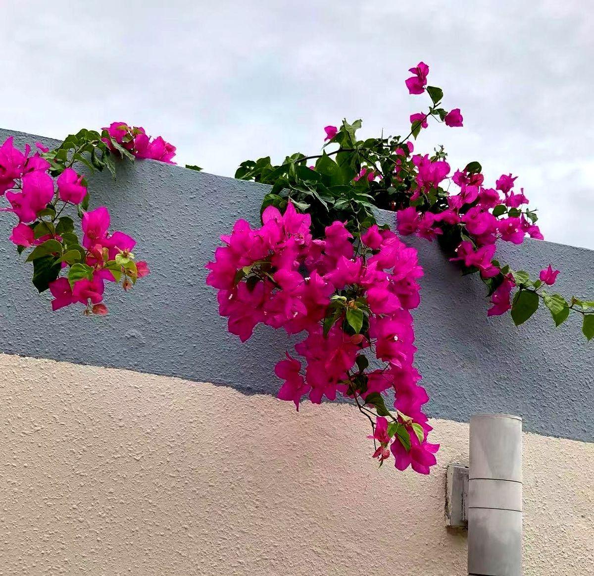 出卖你年龄的，从来不是脸上的皱纹，而是这两个被你忽视的“衰老开关”。第一个开