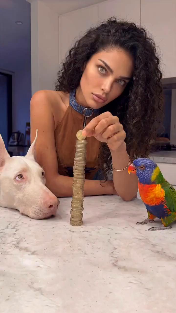 这波操作都看傻了。