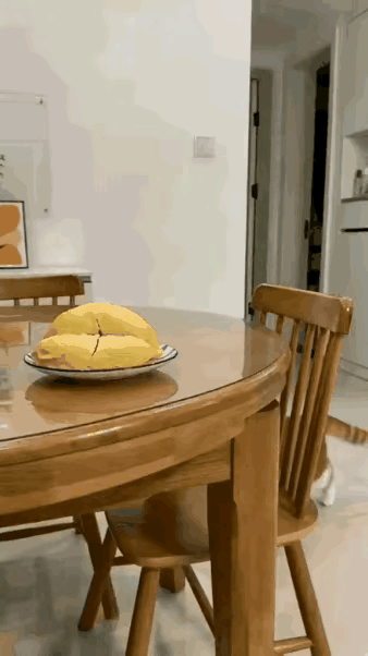 中午买了一个榴莲剥好了放到桌子上，家里的猫咪不知道是什么好吃的？急急忙忙跳上桌。