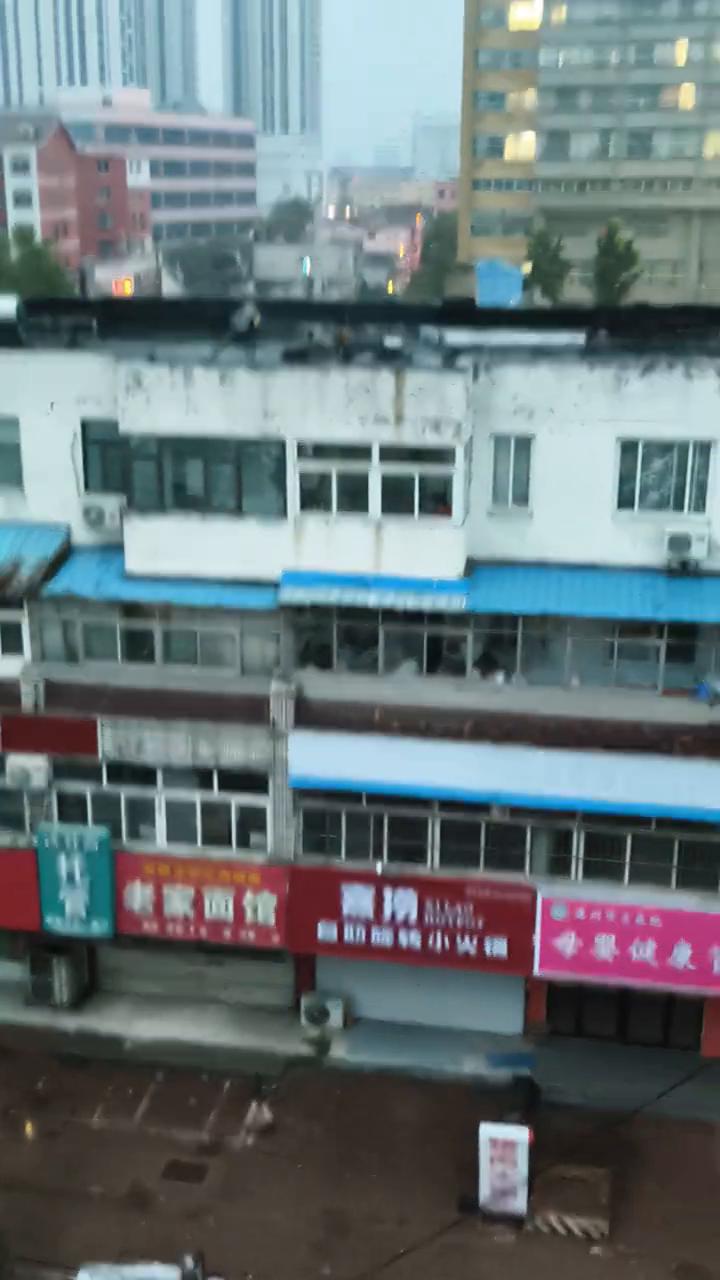 这雨哗哗的又下了一晚上。都说牛马年好种田，牛马年好种田。这麦子该收了，这雨又下起